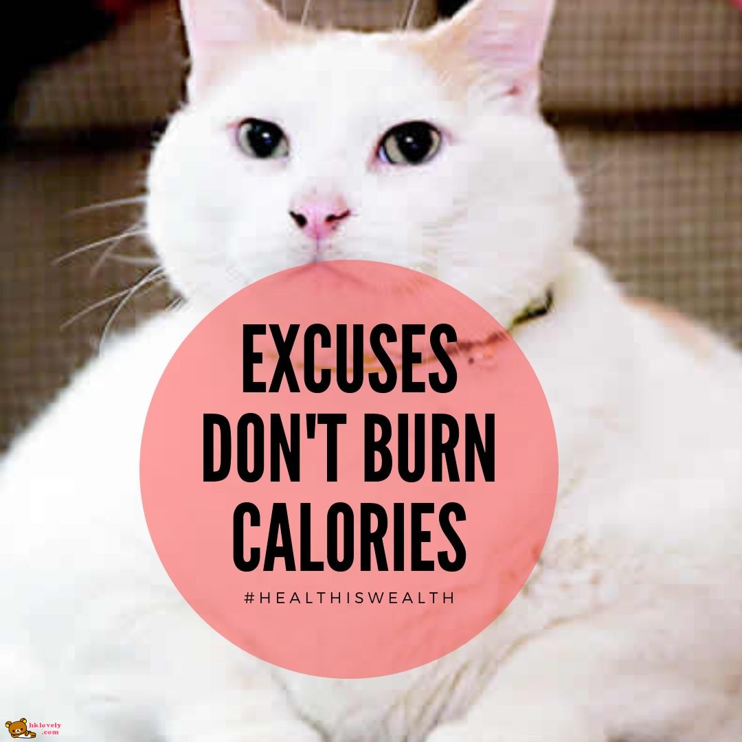 excuses don&#039;t burn calories.jpg