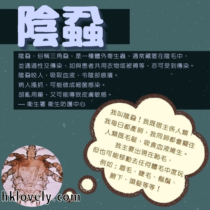 孕婦感染性病.jpg